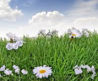 Fresh Air
