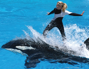 San Diego - Sea World